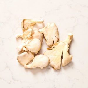 Mushroom Oyster