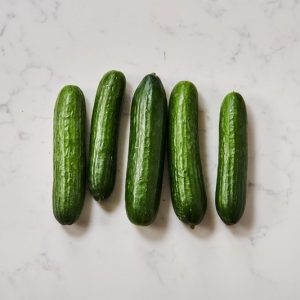 Mini Cucumber