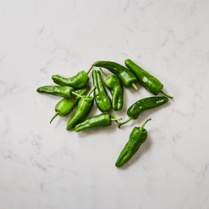 Padron Chilli Pepper