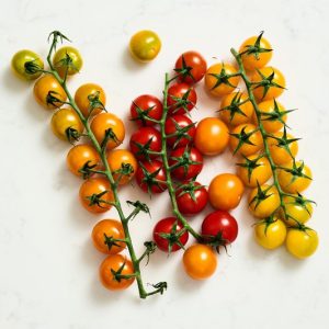Cherry VineTomatoes Tri-Colours