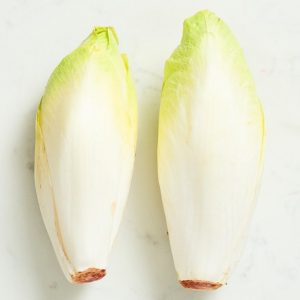Chicory White